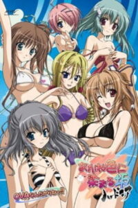 Akaneiro ni Somaru Saka: It’s the Akane-iro ni Somaru Saka Hardcore OVA, Big Brother!! (2009)