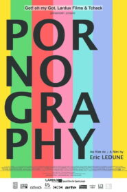 Pornography (2016)