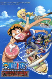 One Piece: Romance Dawn Story (2008)