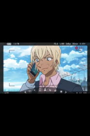 Detective Conan: Amuro Secret Call (2018)