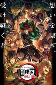 Demon Slayer: Kimetsu no Yaiba Special Edition Hashira Training Arc Part 1 (2025)