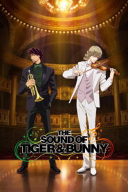 The Sound of Tiger & Bunny (2015)