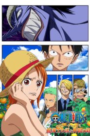 One Piece Episode of Nami: Tears of a Navigator and the Bonds of Friends (2012)