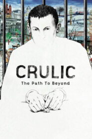Crulic: The Path to Beyond (2011)